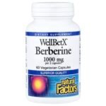 البربارين، البربارين، 60 كبسولة عشبية.Berberine, Berberin, 60 pflanzliche Kapseln (500 mg pro Kapsel)